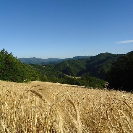 Agriturismo I Monti Di Salecchio Palazzuolo Sul Senio Luaran gambar