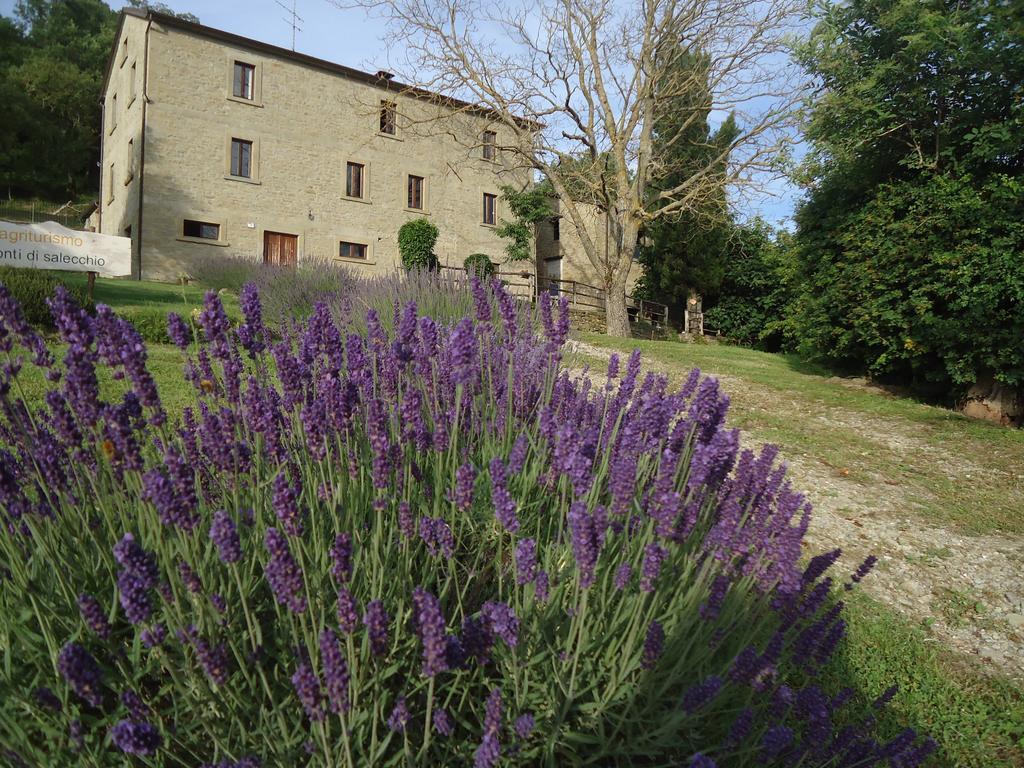 Agriturismo I Monti Di Salecchio Palazzuolo Sul Senio Luaran gambar