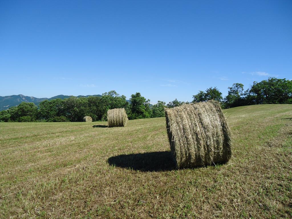 Agriturismo I Monti Di Salecchio Palazzuolo Sul Senio Luaran gambar